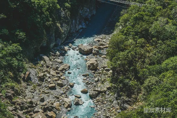 高清摄影 一条河流穿过一片浓绿的森林