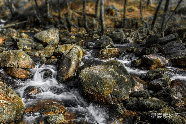 高清摄影 森林中瀑布 cascades through the forest