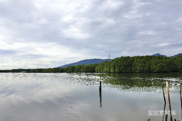 高清摄影 湖边有树木和山峰作为背景