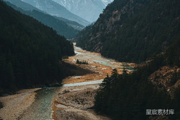 高清摄影 一条河流穿过一片浓绿的森林