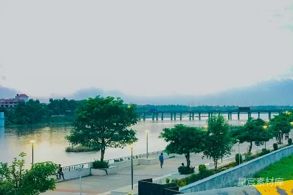 高清摄影 白天树林附近有一片水域
