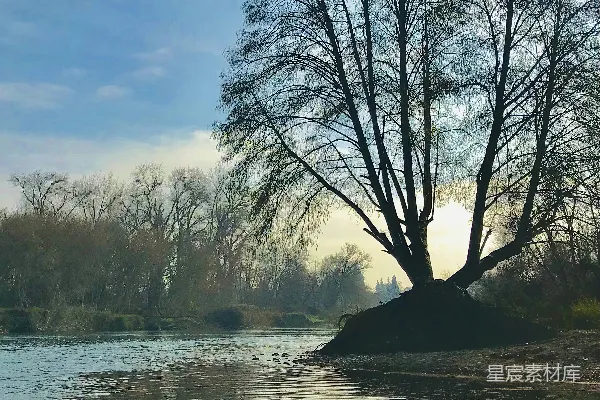 高清摄影 河边有岩石和树木的背景