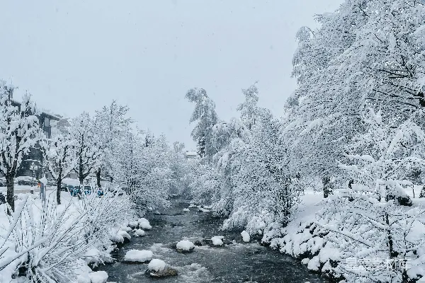 高清摄影 一条河流穿过覆盖着白雪的森林