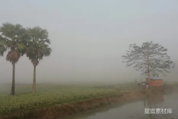 高清摄影 环绕着棕榈树的水域