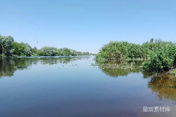 高清摄影 被树木和草环绕的一片水域