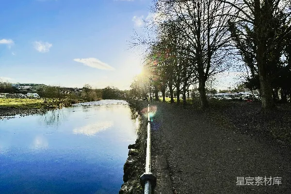高清摄影 白天近水裸树下的蓝天中