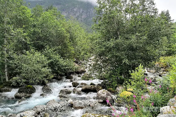 高清摄影 一条河流穿过一片浓密的绿色森林