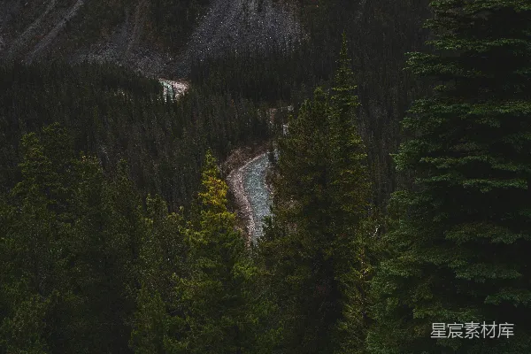 高清摄影 一条河流穿过一片森林，旁边是座山峰。