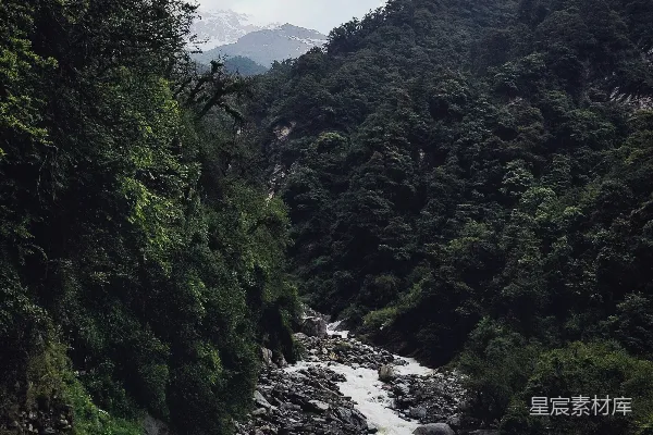 高清摄影 一条河流穿过一片葱绿的森林