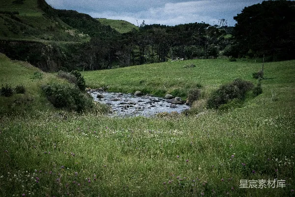 高清摄影 河边有树的背景