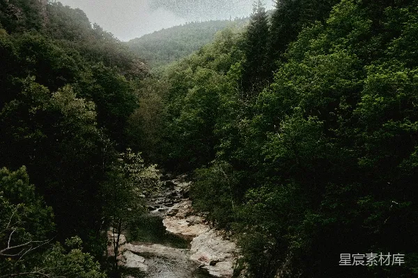 高清摄影 一条河流穿过森林