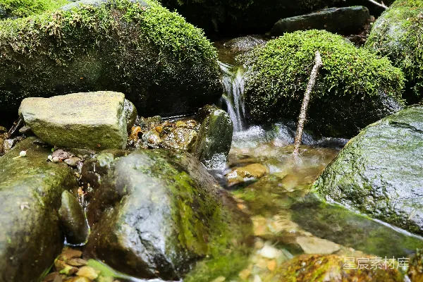 高清摄影 一股水流在岩石上流淌