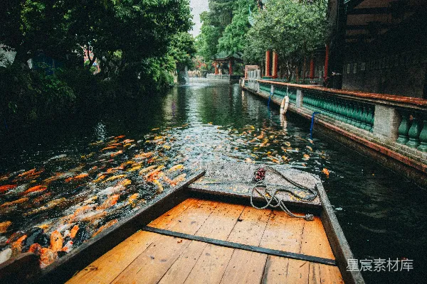 高清摄影 一条船在满是金鱼的河流中航行