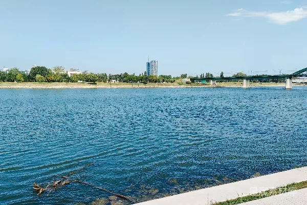 高清摄影 背景中有座桥的水域