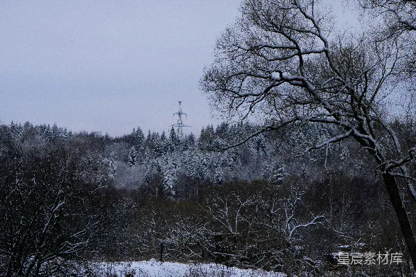 高清摄影 地面有雪，背景是树木的河流