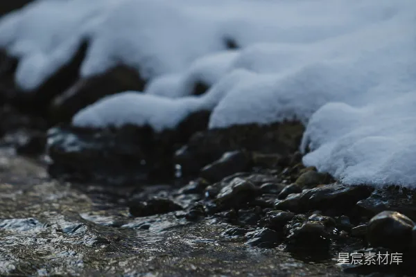 高清摄影 一条溪流穿过覆盖着白雪的森林