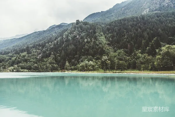 高清摄影 一片被森林环绕的大片水域
