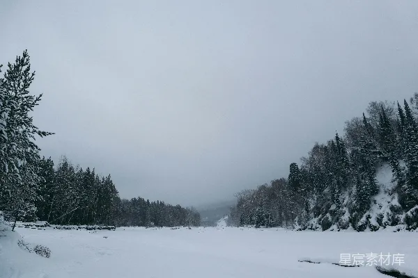 高清摄影 雪夜寒梅枝