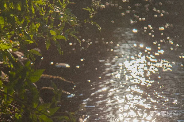 高清摄影 一股溪流，汇入瀑布
