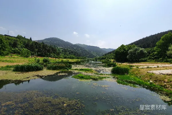 高清摄影 白天湖边绿草丛生的田野