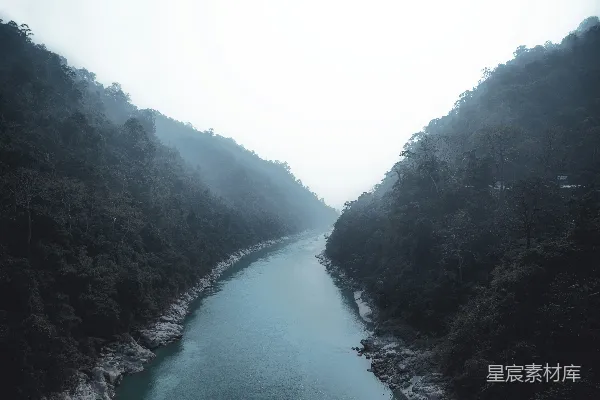 高清摄影 树间白天的水面