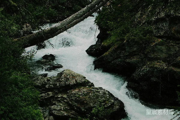 高清摄影 环绕岩石的水域