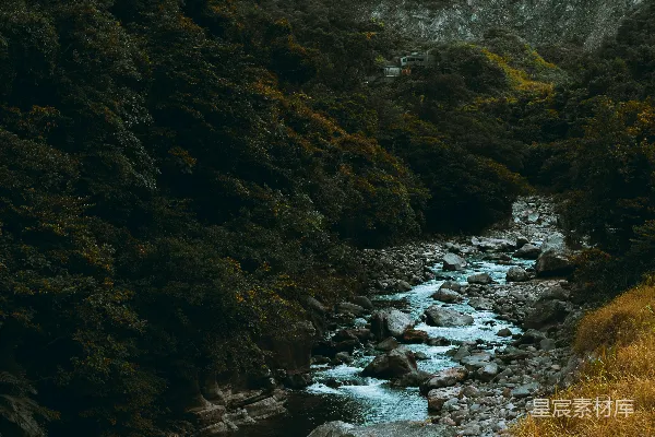 高清摄影 夹在绿草和棕草田间的河流