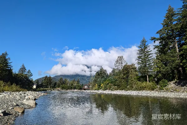 高清摄影 一湖水环绕于树木与岩石之间