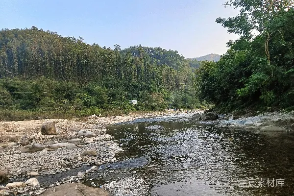 高清摄影 一条河流穿过一片浓绿的森林