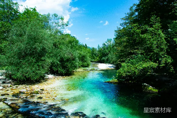 高清摄影 绿树傍河畔，蓝天白云间，白天景色。
