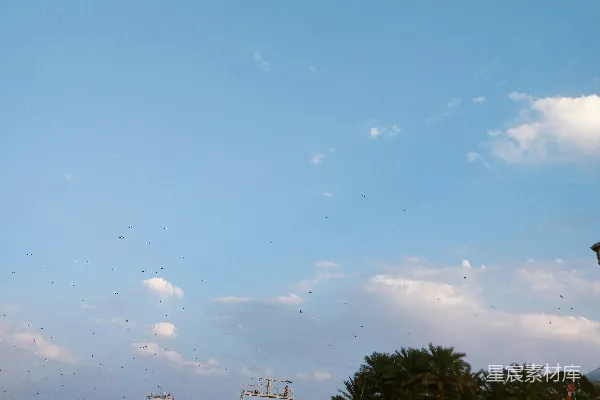 高清摄影 水上的小船