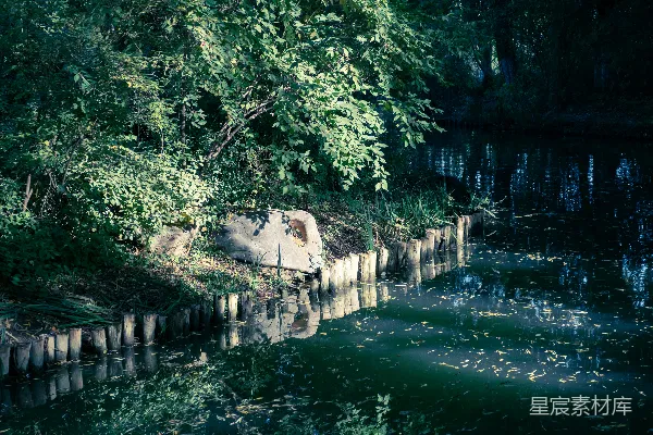 高清摄影 白天树木环绕着水体的一侧