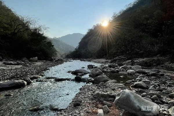 高清摄影 白天绿树之间的 rocky river 显示出宁静的美。