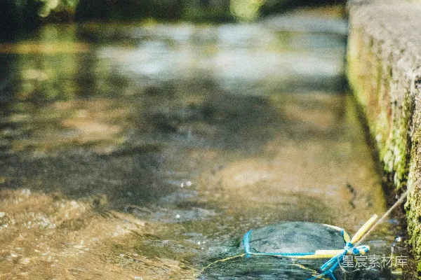 高清摄影 蓝色的网在一条流淌着的浅溪中漂浮。