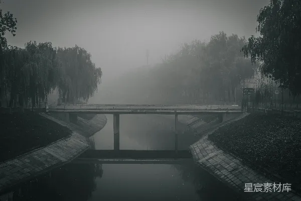 高清摄影 桥跨过一片被树木环绕的水域