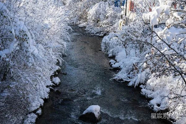 高清摄影 一条溪流穿过一片覆盖着白雪的森林