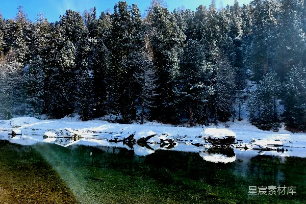 高清摄影 一片被雪覆盖的树木环绕的水域