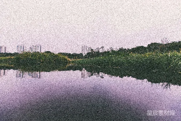 高清摄影 近水绿草的反思性摄影