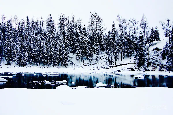 高清摄影 一幅覆盖着白雪的山水画，其中有树木和一片水面。