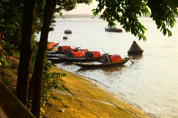 高清摄影 湖岸上一排 canoe 坐在岸边
