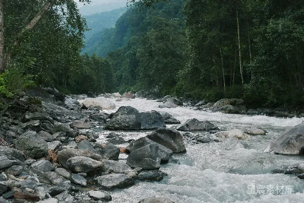 高清摄影 有岩石和树木的河流