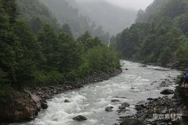 高清摄影 白天绿树之间的河流