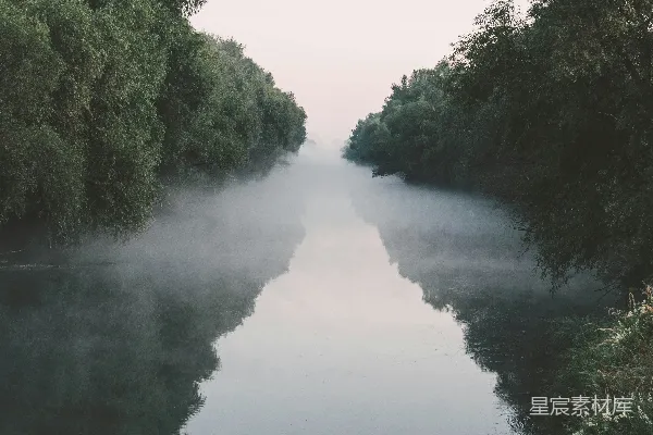 高清摄影 被树木和雾环绕的一片水域