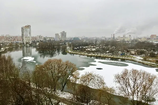 高清摄影 树木和建筑物之间的白天水面