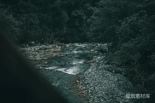 高清摄影 一条河流穿过一片茂密的绿色森林