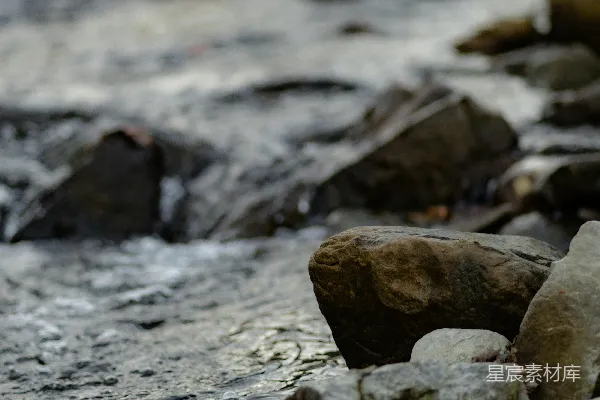 高清摄影 岩石溪流中站立的一只鸟
