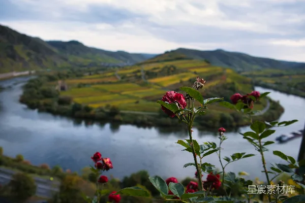 高清摄影 一条河流穿过葱绿的山坡