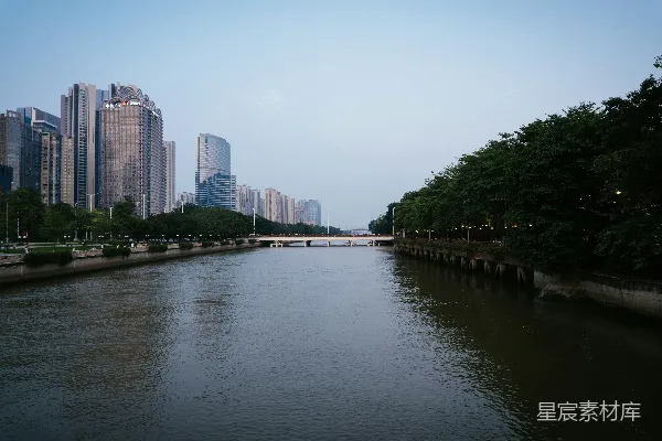 高清摄影 白天河边的绿树