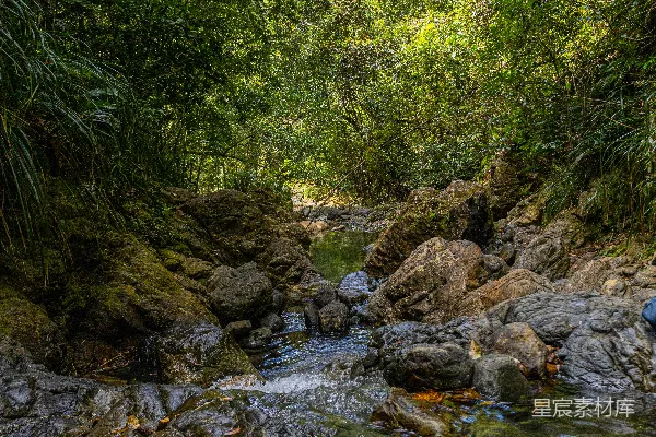 高清摄影 带有岩石和树木的河流