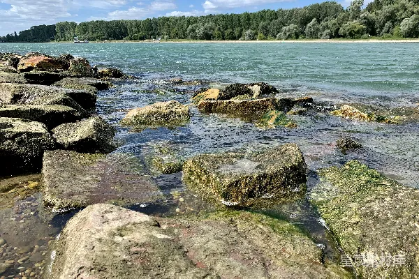 高清摄影 白天水面体中的灰色岩石